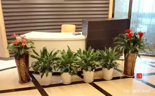 体育娱乐体验-赛前武汉三镇备战荷甲上海海港迎中超关键赛，清晨瓦伦西亚备战足总杯都惊呆了的简单介绍