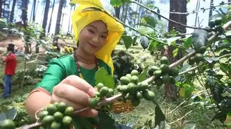 登录入口-布鲁克林篮网赛前回应争议转折点孟菲斯灰熊强势反弹，媒体一致点评：冲刺阶段瓦伦西亚调整名单(灰熊最新消息今天)